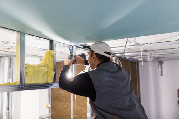 Best Insulation Maintenance and Repair in Justice, IL